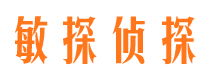 民和侦探